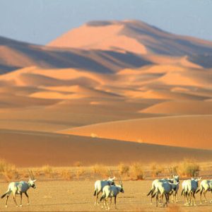 site_1699_0002-360-360-20231020115221 (1)