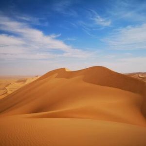 site_1699_0007-360-360-20220504113151