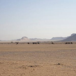 site_1712_0014-360-360-20240531144357